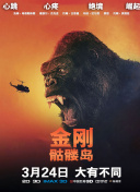 武道剑侠中的装备与技能搭配技巧